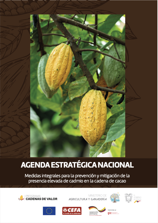 Agenda nacional para combatir el cadmio en cacao